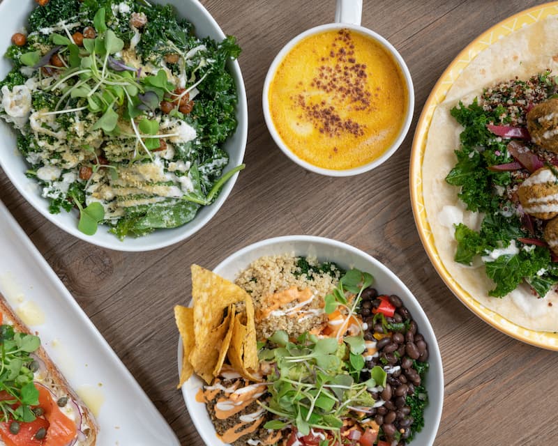 Navigating Nutrition