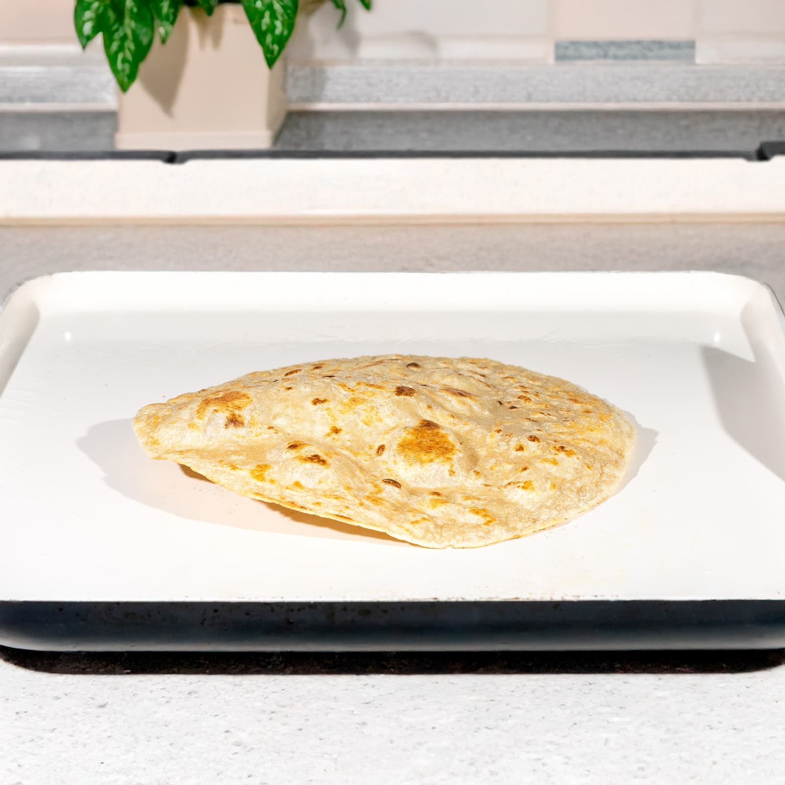 High protein flour tortilla cooking on pan