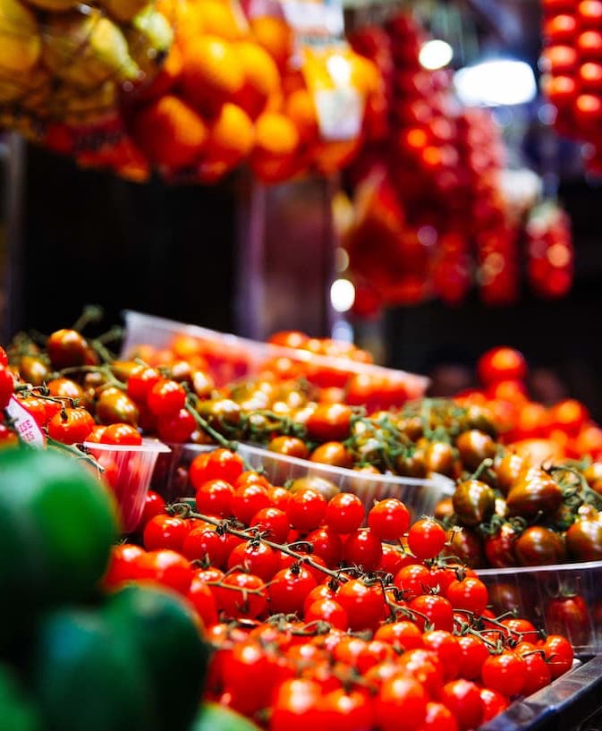 Fresh Tomatoes