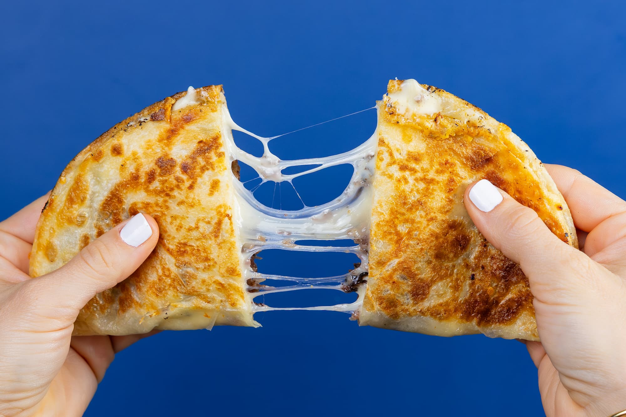 Two hands holding a sliced beef brisket quesadilla against a blue background